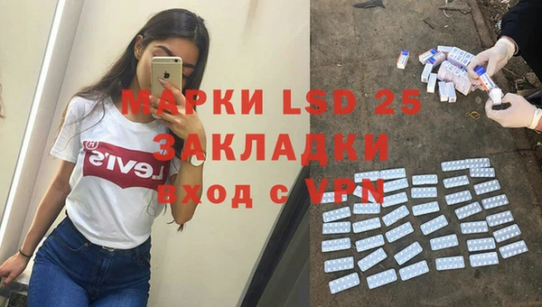 ECSTASY Алзамай