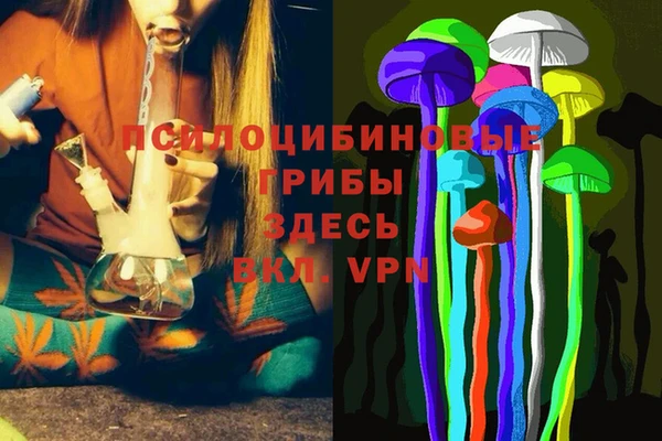 ECSTASY Алзамай
