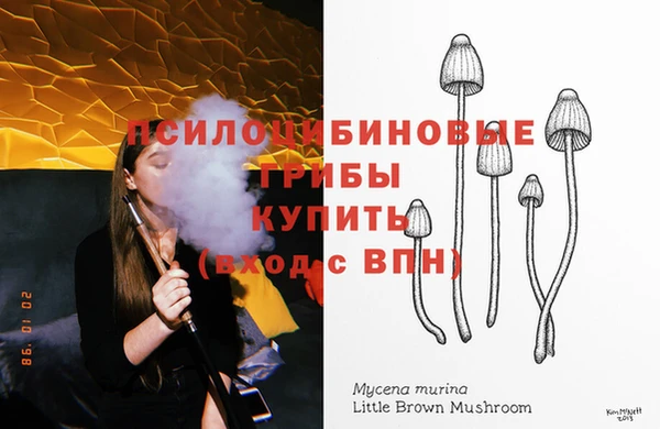 не бодяженный Абаза